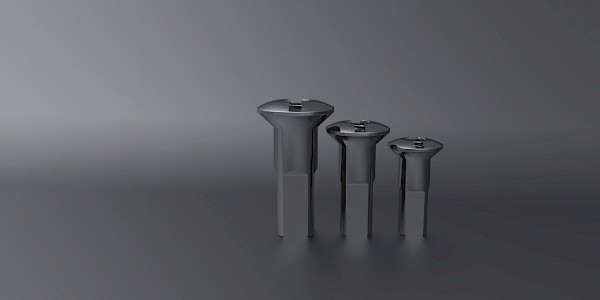 Die Speiche mit dem Kleeblatt