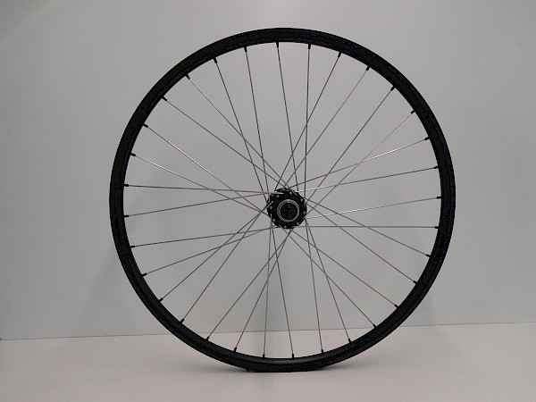 Fahrrad 29 Zoll HR 2,34mm Speichen 285mm